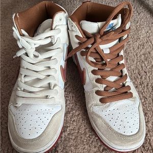 Nike Jordan dunk high pros (Philly bluntz)